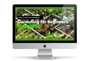 Gardening for Beginners 101 over a garden background computer image