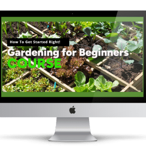 Gardening for Beginners 101 over a garden background computer image